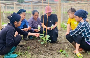 Giúp nông dân sản xuất, kinh doanh nông sản an toàn