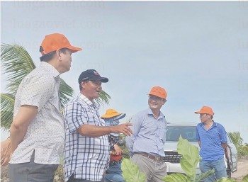 Ông Nguyễn Thanh Tuấn (đứng thứ 2, từ trái qua) đang giới thiệu về cánh đồng “4 không” của mình