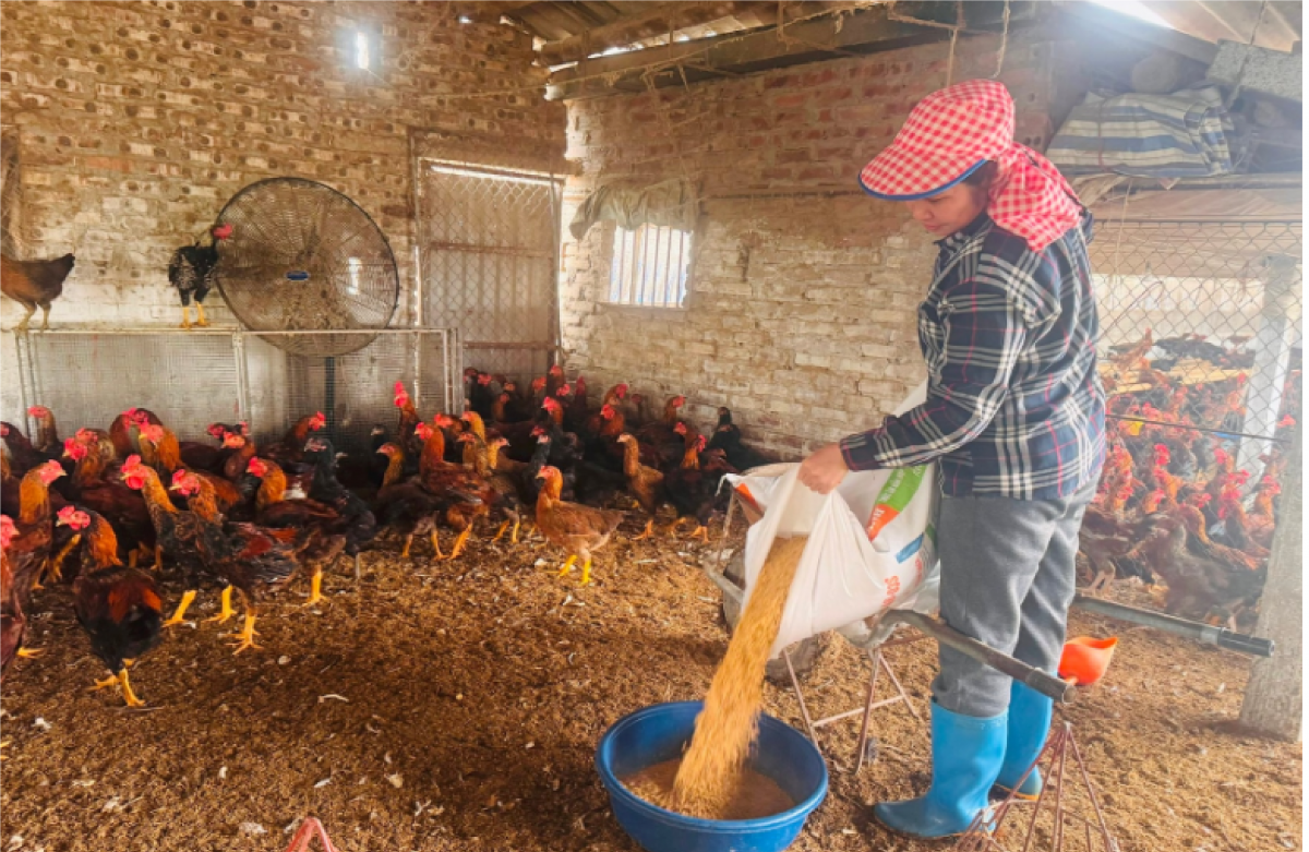 Giá trị nông, lâm, thủy sản của Hải Dương vượt mục tiêu 3,51%