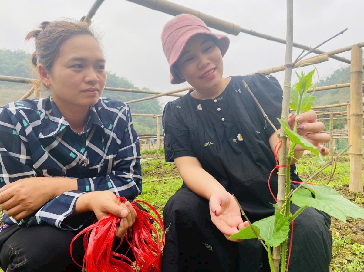 Muốn thành công không có con đường nào khác là phải làm