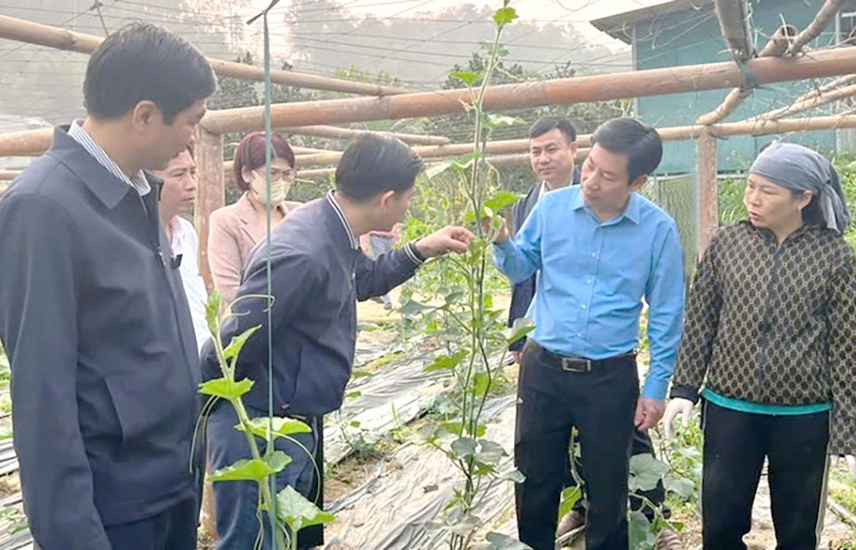 Muốn thành công không có con đường nào khác là phải làm