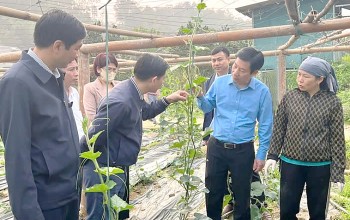 Muốn thành công không có con đường nào khác là phải làm