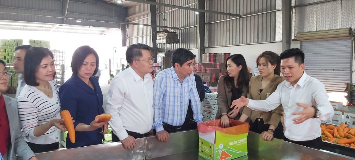 Tỷ phú nông dân “chỉ cách làm giàu” ở Hải Dương