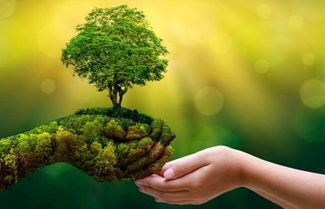 Chuyển đổi xanh - Chung tay vì một Việt Nam phát triển bền vững