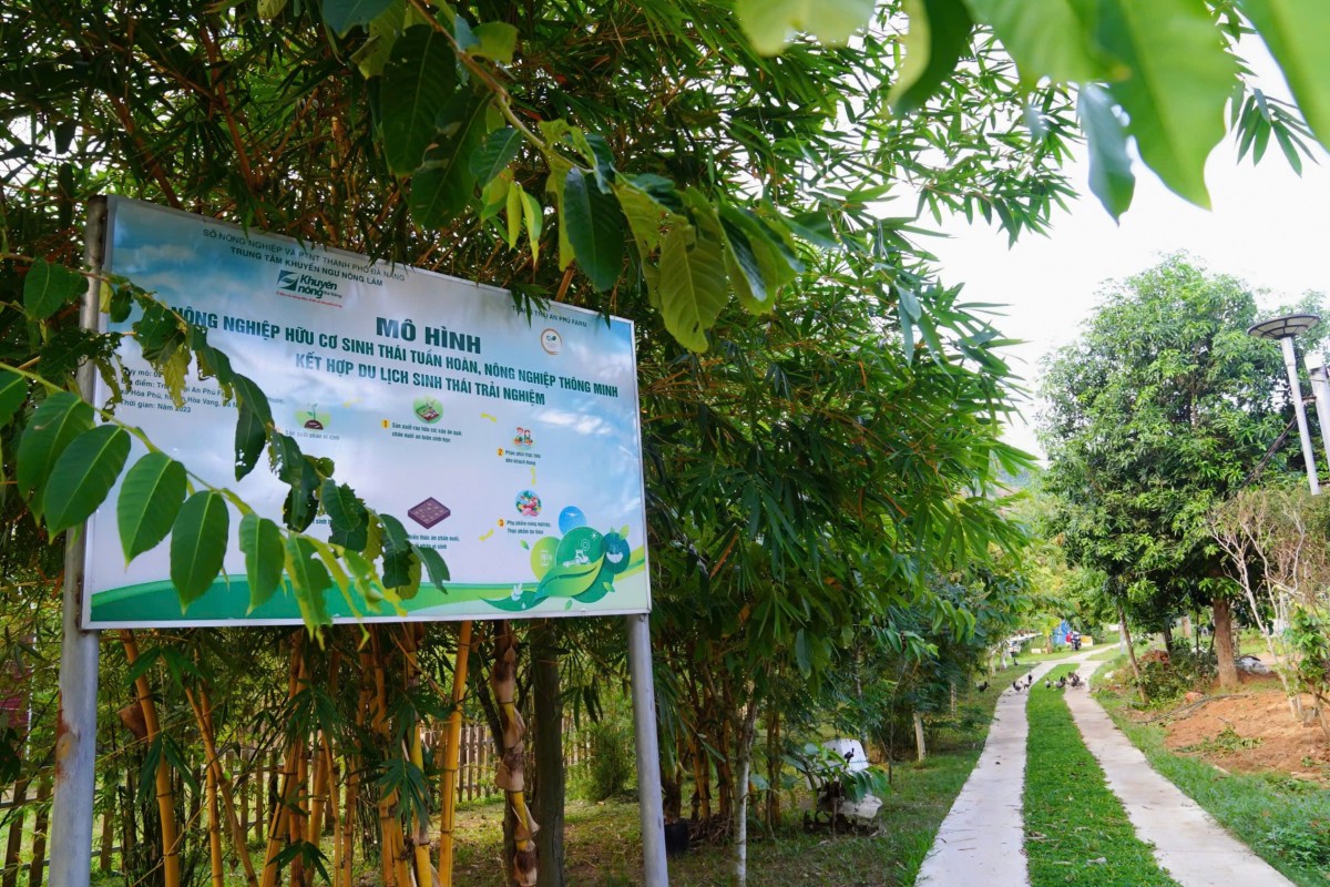 Hành trình xanh từ nông nghiệp hữu cơ đến du lịch trải nghiệm