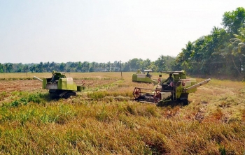 hai phong khac phuc tinh trang dat nong nghiep bi bo hoang