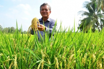 Người đánh thức những “mùa vàng”