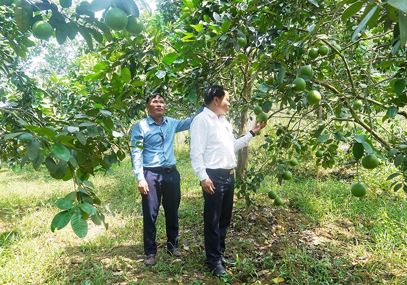Quảng Bình: Huyện Tuyên Hóa hỗ trợ vốn vay cho bà con nông dân phát triển sản xuất, kinh doanh
