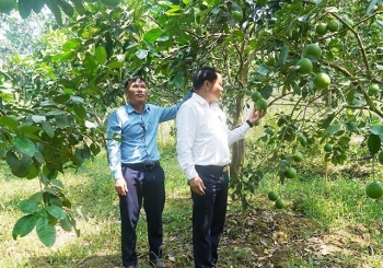 Quảng Bình: Huyện Tuyên Hóa hỗ trợ vốn vay cho bà con nông dân phát triển sản xuất, kinh doanh