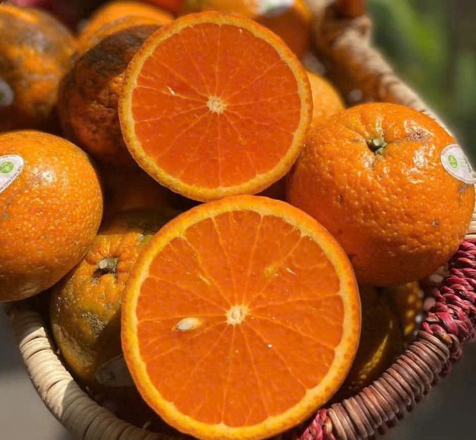 Hành trình đưa cam Hai Đông từ Măng Đen về Bác Tôm ở Thủ đô Hà Nội