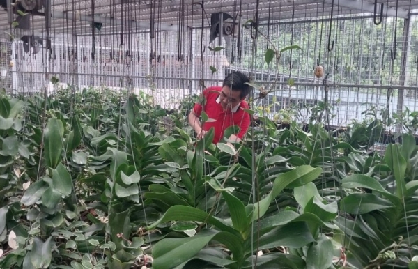 Quyết tâm làm giàu của anh nông dân khiếm thị