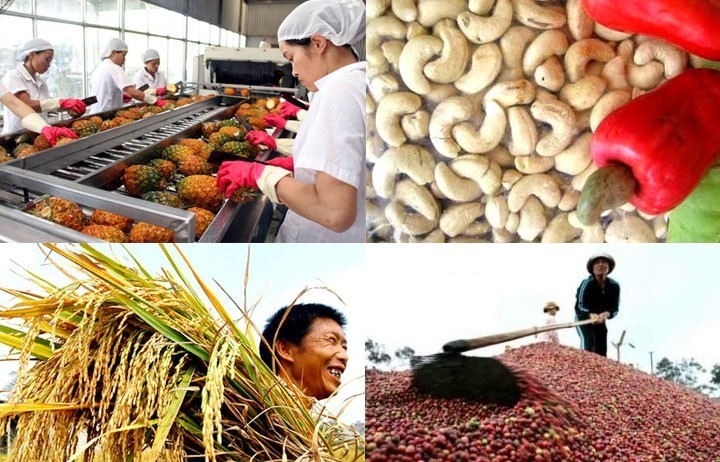 Xuất khẩu nông sản quý 1/2025 đạt 15,71 tỷ USD