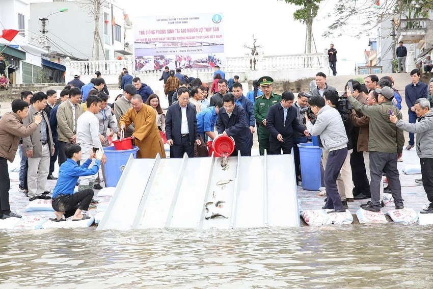 Hàng chục triệu con giống thủy sản được thả về tự nhiên