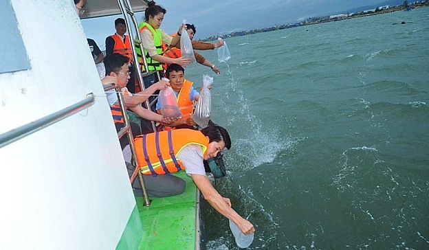 Hàng chục triệu con giống thủy sản được thả về tự nhiên