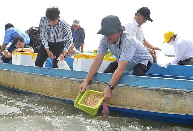 Hàng chục triệu con giống thủy sản được thả về tự nhiên
