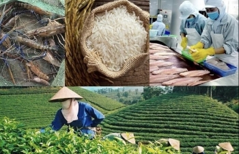 Ngành Nông nghiệp và Môi trường đặt mục tiêu cán mốc tăng trưởng 4%