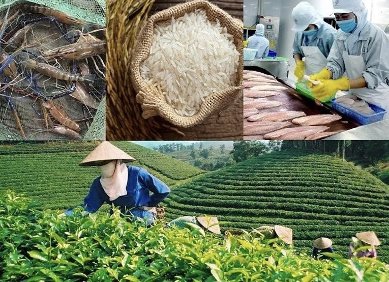 Ngành Nông nghiệp và Môi trường đặt mục tiêu cán mốc tăng trưởng 4%