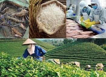 Ngành Nông nghiệp và Môi trường đặt mục tiêu cán mốc tăng trưởng 4%