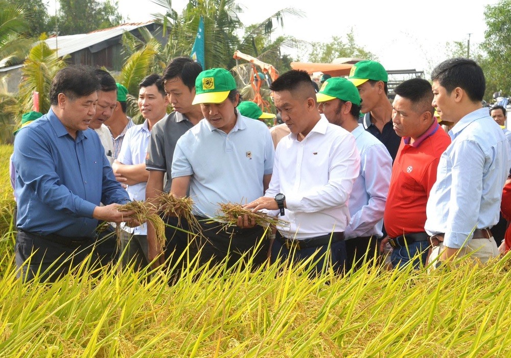 Canh tác lúa giảm phát thải: Hành trình nâng cao giá trị hạt gạo Việt