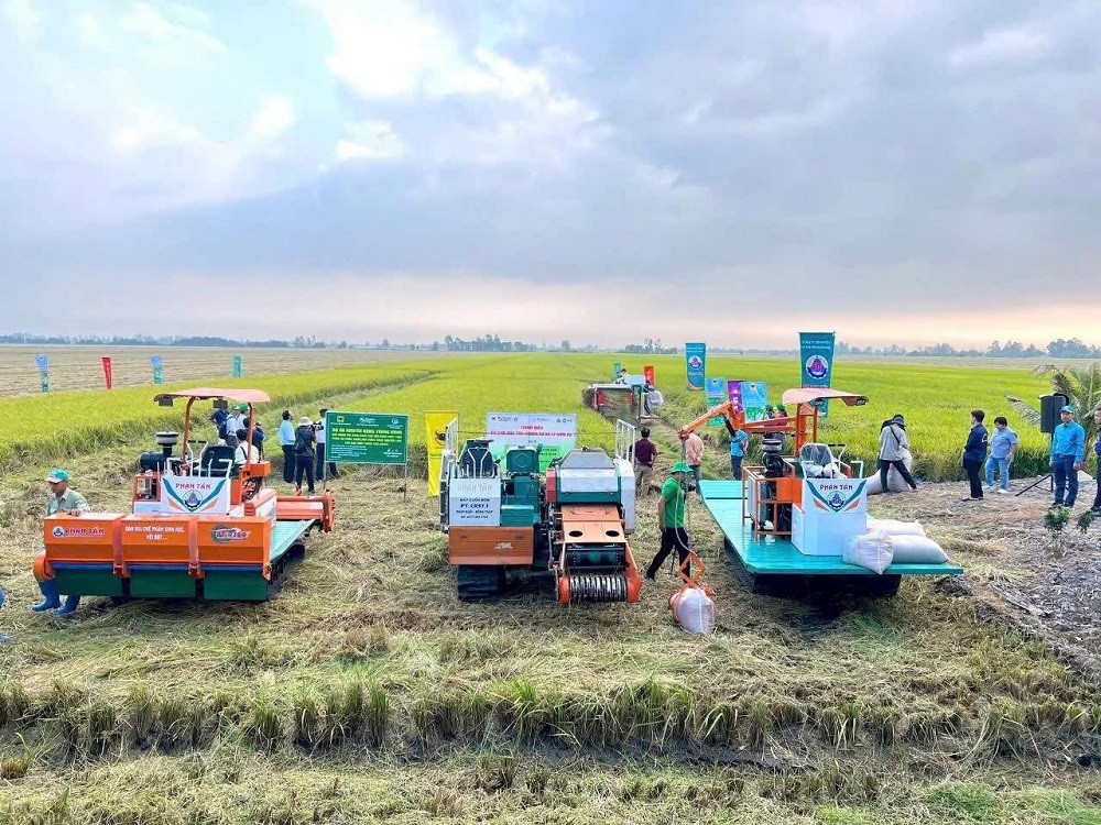Canh tác lúa giảm phát thải: Hành trình nâng cao giá trị hạt gạo Việt