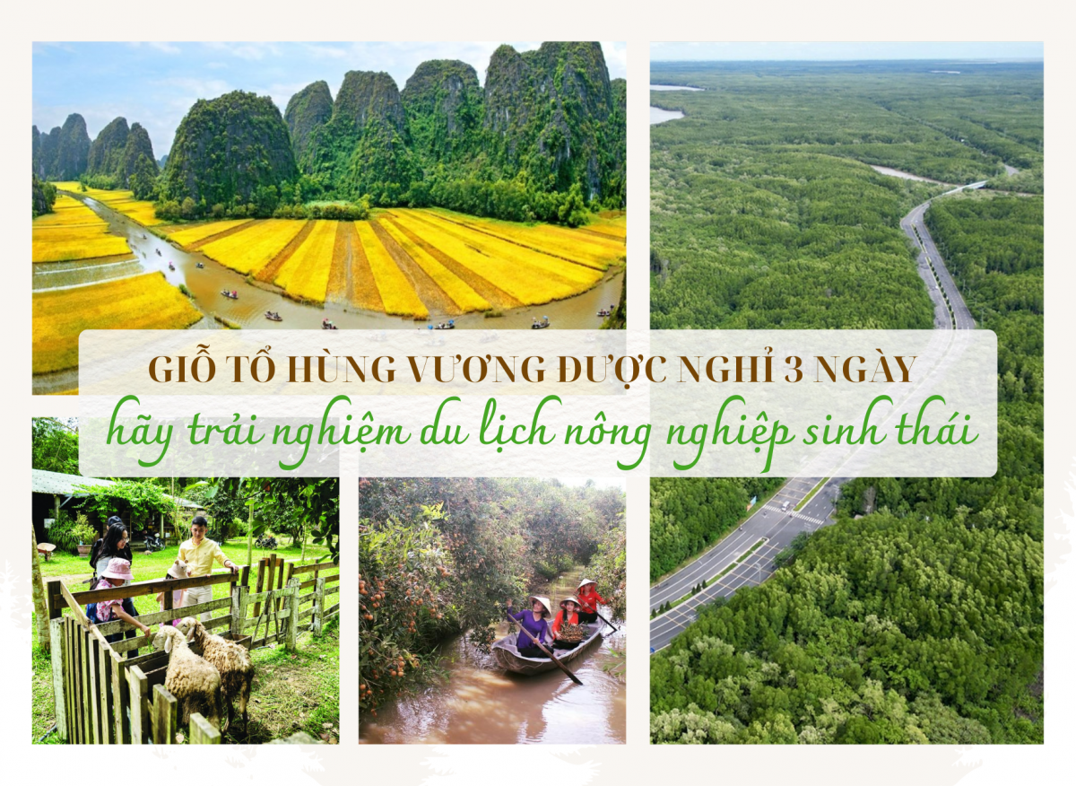 Giỗ Tổ Hùng Vương được nghỉ 3 ngày, hãy trải nghiệm du lịch nông nghiệp sinh thái
