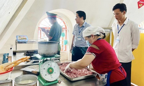 Nông nghiệp Việt Nam: 