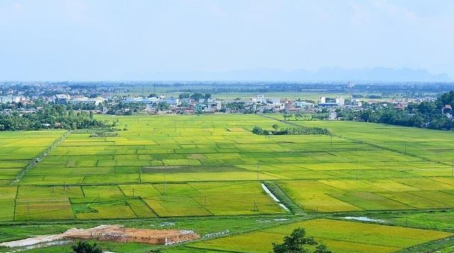 Hoàn thiện pháp lý cho mô hình chính quyền hai cấp trong lĩnh vực nông nghiệp và môi trường