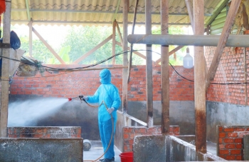 Đắk Lắk: Triển khai phòng chống dịch bệnh và tiêm phòng cho đàn vật nuôi