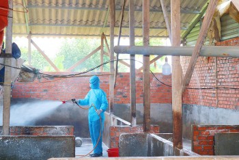 Đắk Lắk: Triển khai phòng chống dịch bệnh và tiêm phòng cho đàn vật nuôi