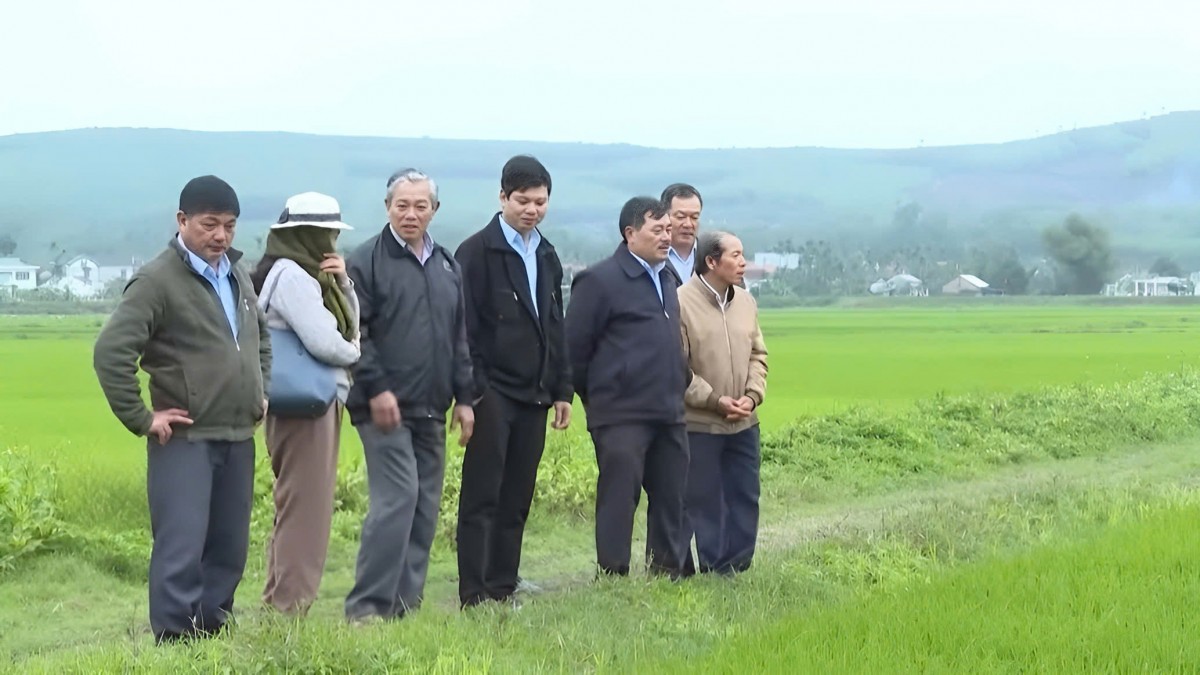 Hợp tác xã nông nghiệp: Vai trò then chốt trong xây dựng nông thôn mới ở Quảng Ngãi