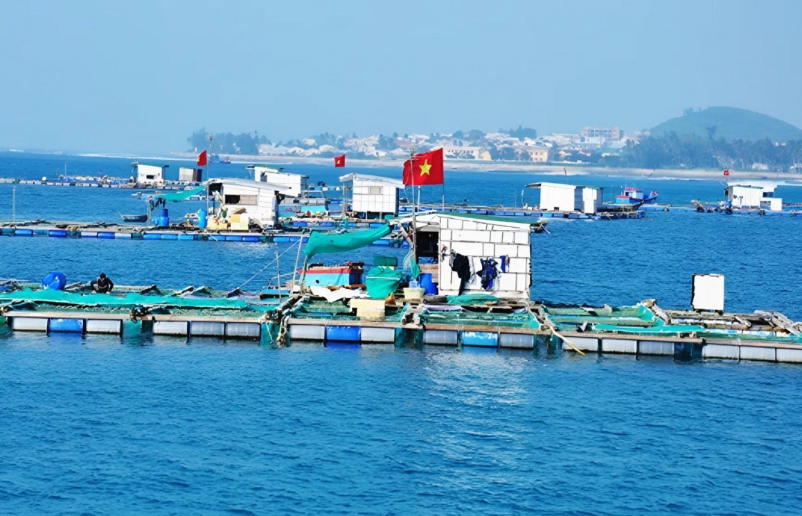 Gia hạn nộp thuế và tiền thuê đất với lĩnh vực nông, lâm,  thủy sản