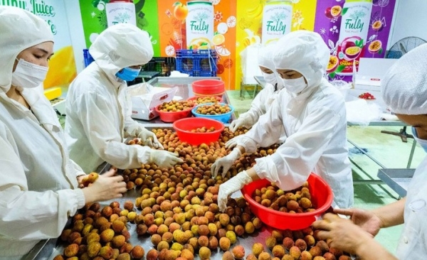 Mỹ áp thuế cao sẽ ảnh hưởng thế nào đến xuất khẩu nông sản?