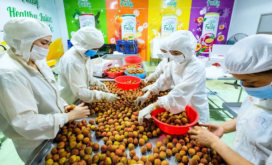 Mỹ áp thuế cao sẽ ảnh hưởng thế nào đến xuất khẩu nông sản?
