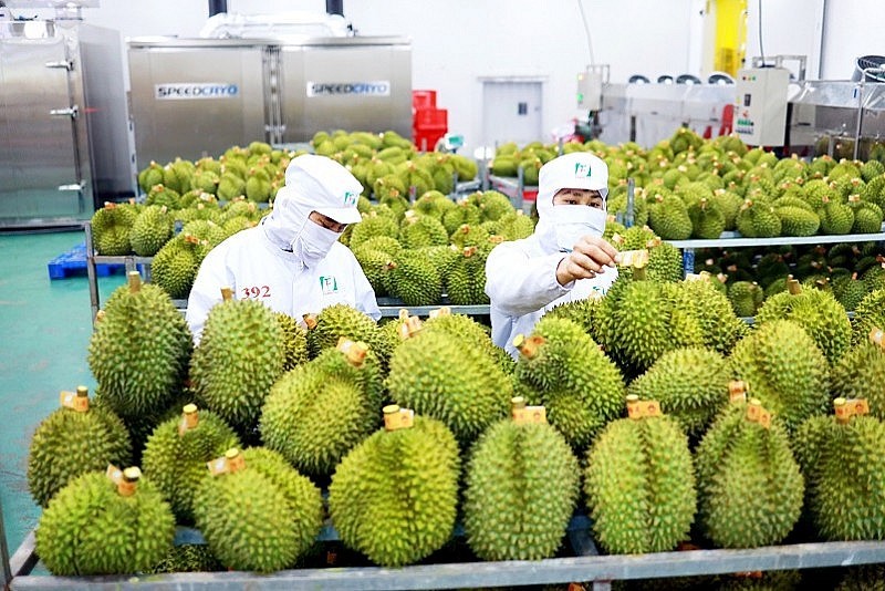 Mỹ áp thuế cao ngành xuất khẩu nông sản bị ảnh hưởng thế nào?