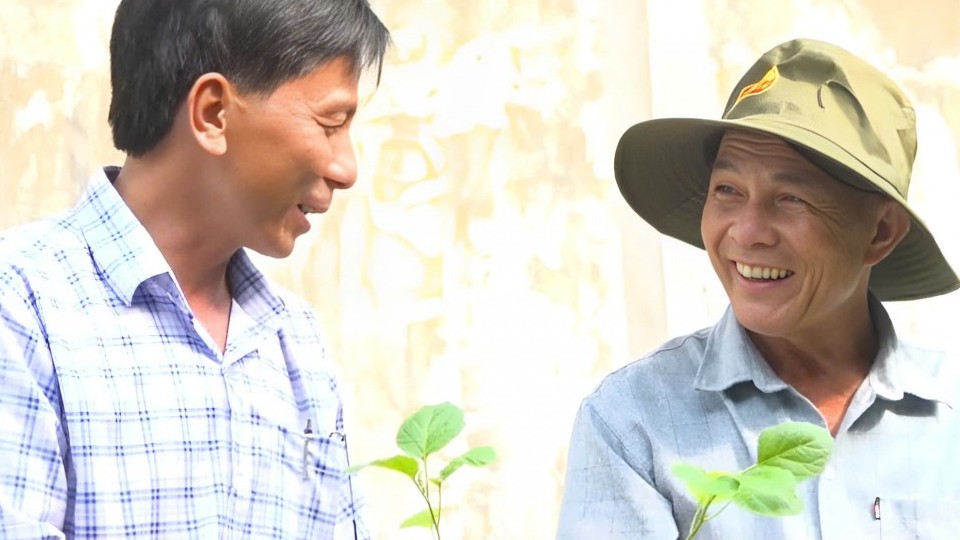 Nông dân Quảng Ngãi làm giàu từ nghề ươm cây giống