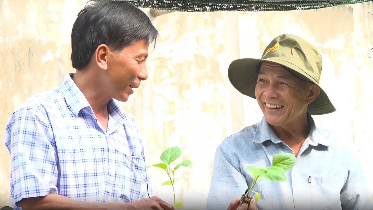 Nông dân Quảng Ngãi làm giàu từ nghề ươm cây giống