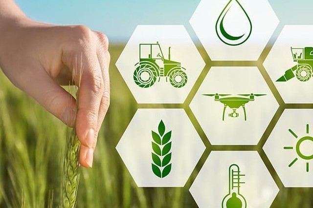 Bộ Nông nghiệp và Môi trường triển khai kế hoạch đột phá khoa học, công nghệ và chuyển đổi số
