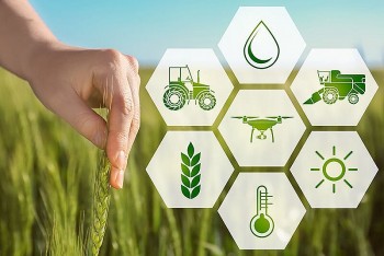 Bộ Nông nghiệp và Môi trường triển khai kế hoạch đột phá khoa học, công nghệ và chuyển đổi số
