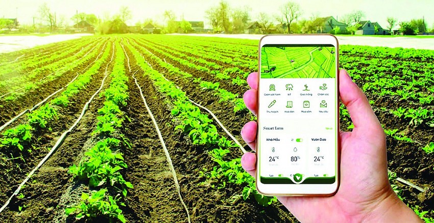 Thúc đẩy ứng dụng khoa học công nghệ trong sản xuất nông nghiệp hữu cơ