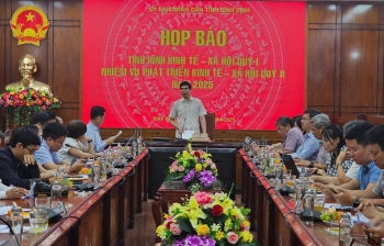 Xử phạt và dừng hoạt động Công ty C.P do biến tướng dự án trồng rau an toàn