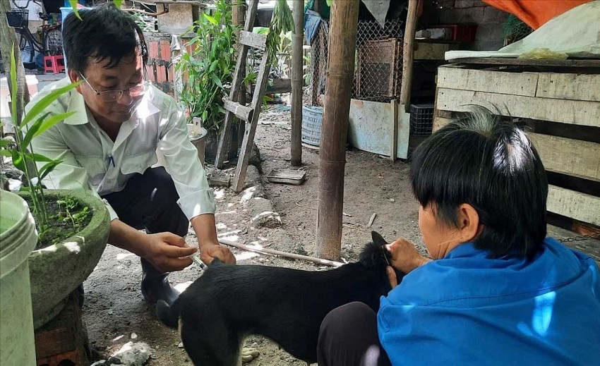 Cán bộ thú y  Tiêm phòng vắc-xin dại cho đàn chó, mèo