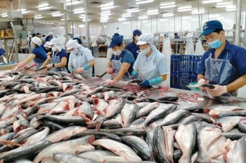 VCCI và AmCham cùng đề nghị Hoa Kỳ hoãn áp thuế đối ứng với Việt Nam