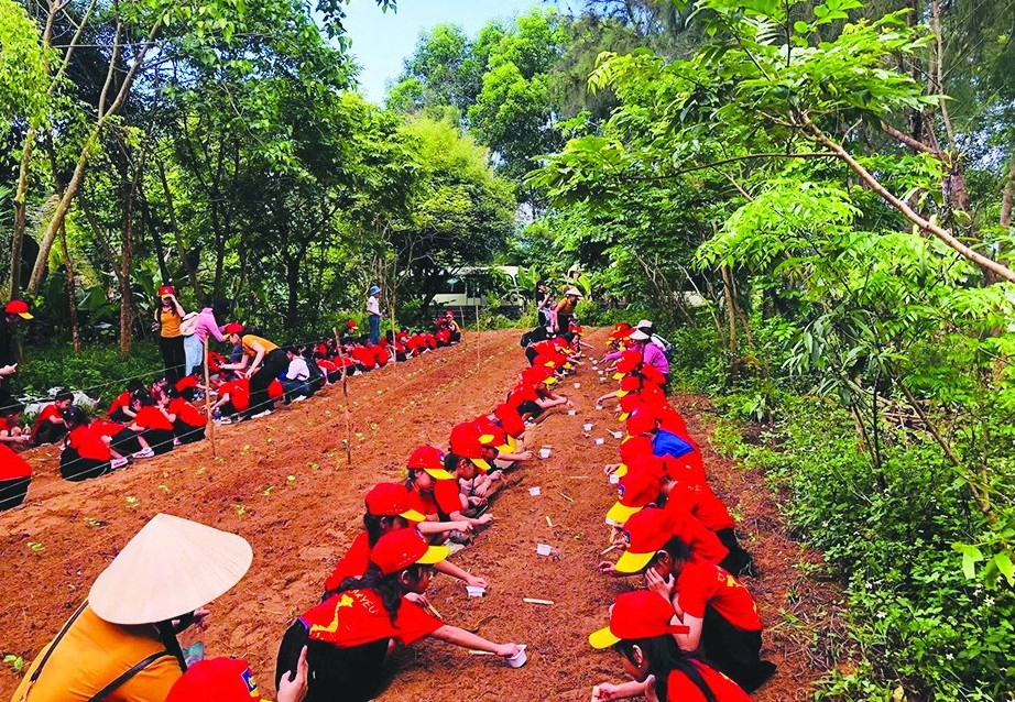An Nông Farm sản xuất theo mô hình nông nghiệp hữu cơ