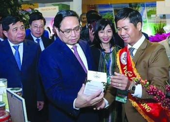 Công ty Vương Thành Công hành trình thành lập và phát triển thương hiệu cà phê hữu cơ