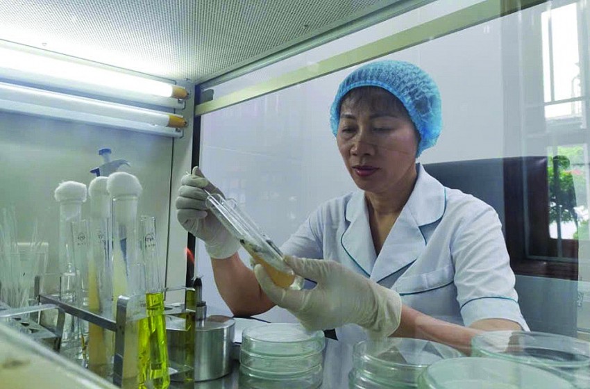 Doanh nghiệp tiên phong trong lĩnh vực nghiên cứu, bảo tồn, phát triển cây dược liệu