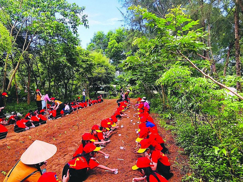 An Nông Farm sản xuất theo mô hình nông nghiệp hữu cơ