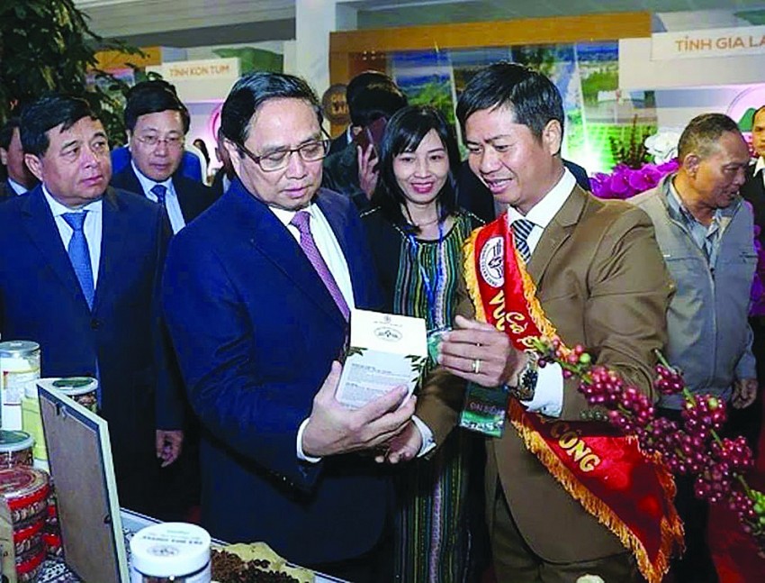 Công ty Vương Thành Công hành trình thành lập và phát triển thương hiệu cà phê hữu cơ