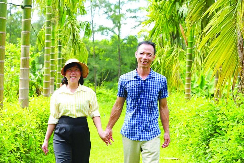 An Nông Farm sản xuất theo mô hình nông nghiệp hữu cơ