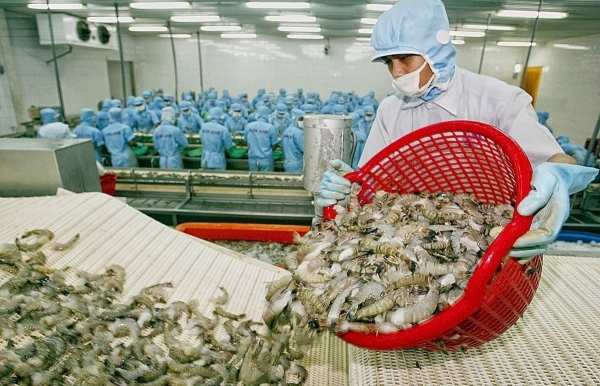 Đồng hành cùng doanh nghiệp và chủ động đàm phán với chính sách thuế của Hoa Kỳ