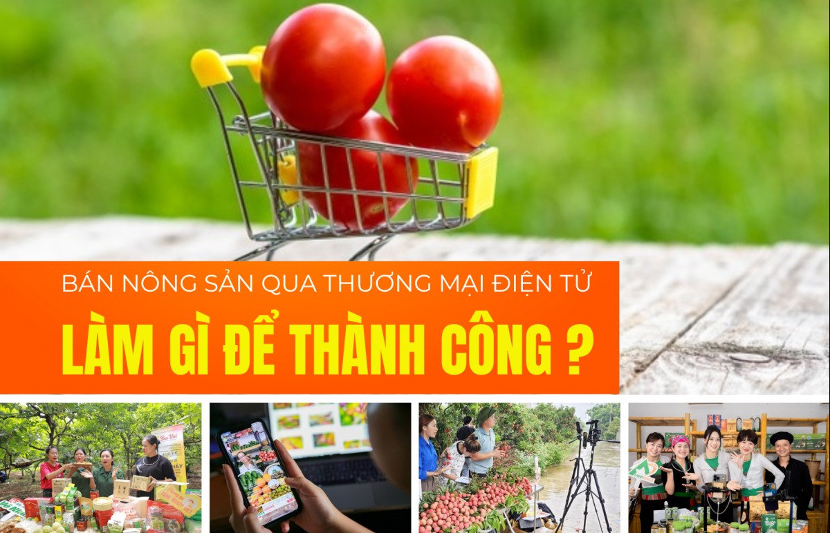 Tiêu thụ nông sản qua thương mại điện tử làm gì để thành công?